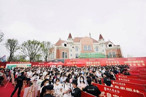 岳阳恒大最新爆料,揭秘神秘项目背后的惊人真相